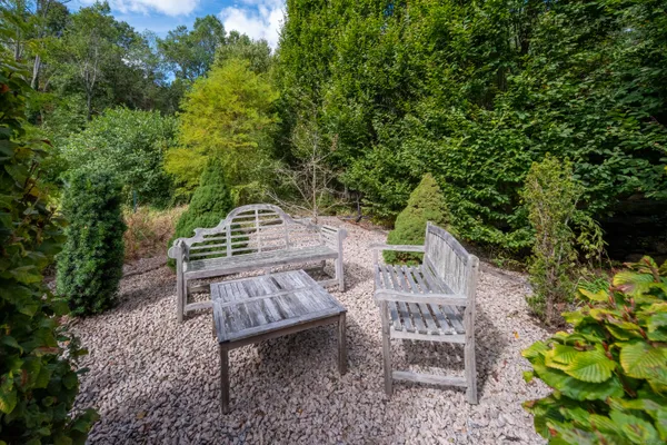 a view of backyard with plants and outdoor seating