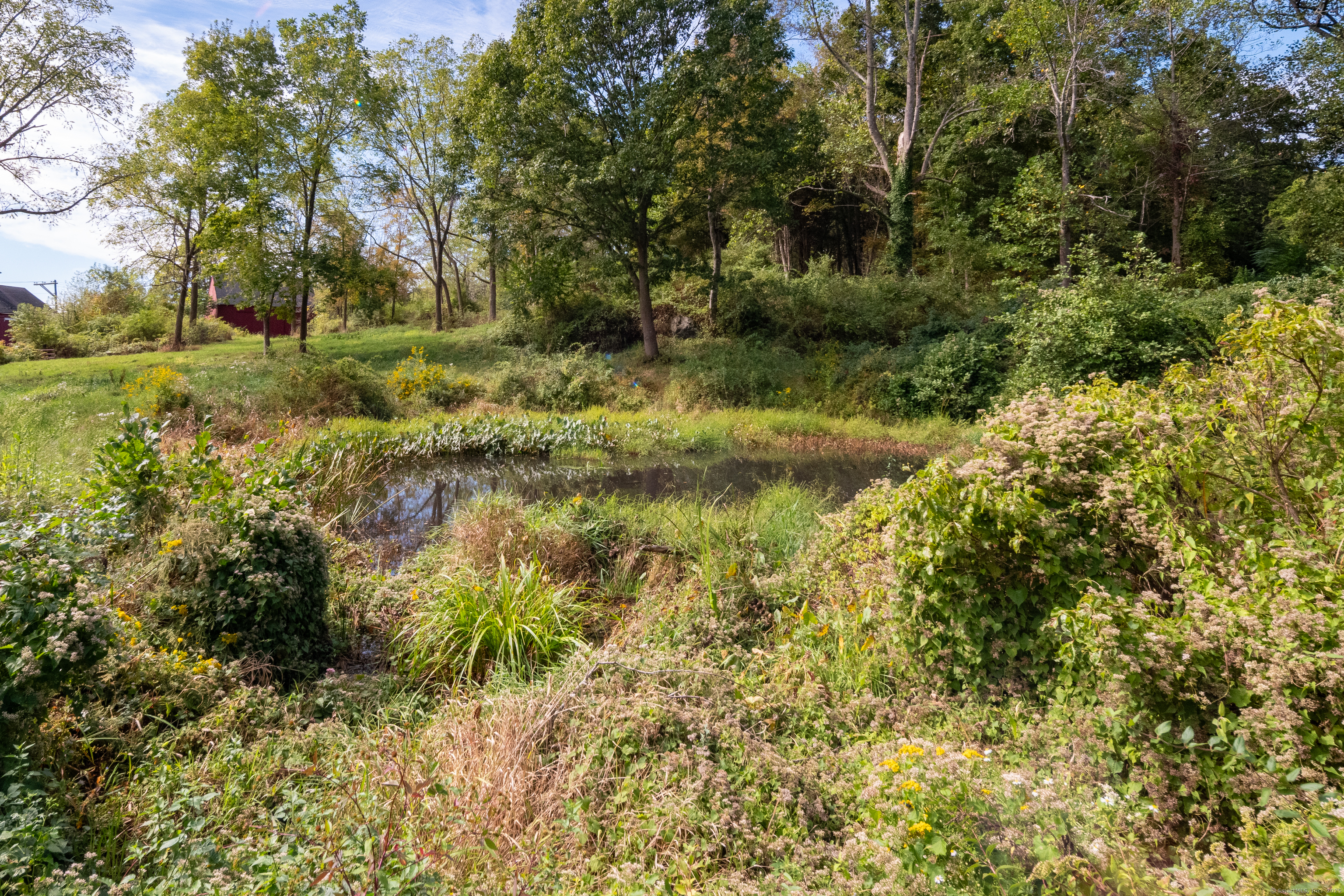 575 Leetes Island Road Guilford, CT 06437 - Photo 36 of 39 a view of a garden with a tree