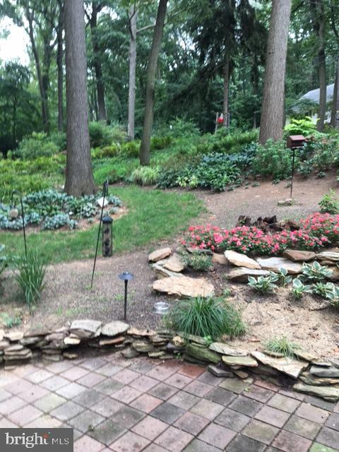 2659 Forest Road York, PA 17402 - Photo 41 of 48 Gallery Image 41
