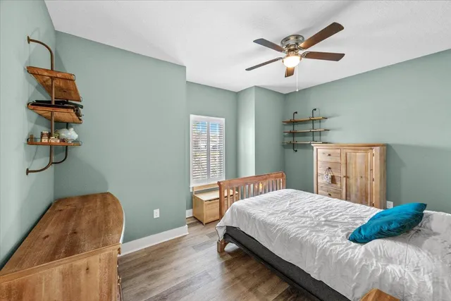 a view of a park with large trees