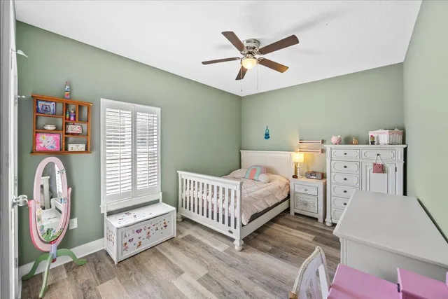 a view of a yard with a large trees