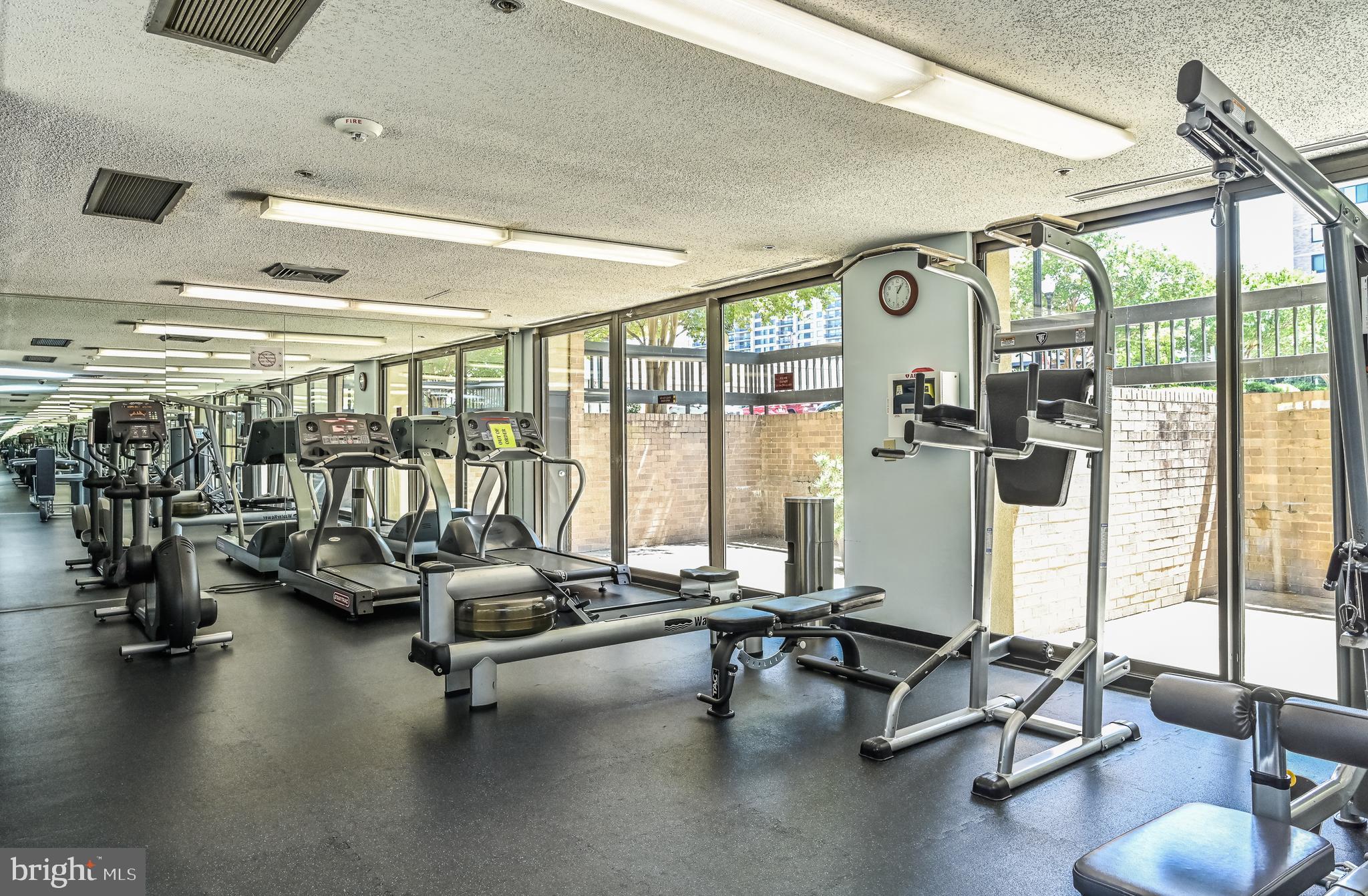 5505 Seminary Road, Unit 516N Falls Church, VA 22041 - Photo 38 of 46 Exercise Room