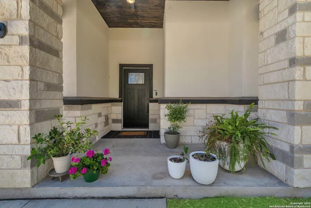 a potted plant sitting on a wooden floor
