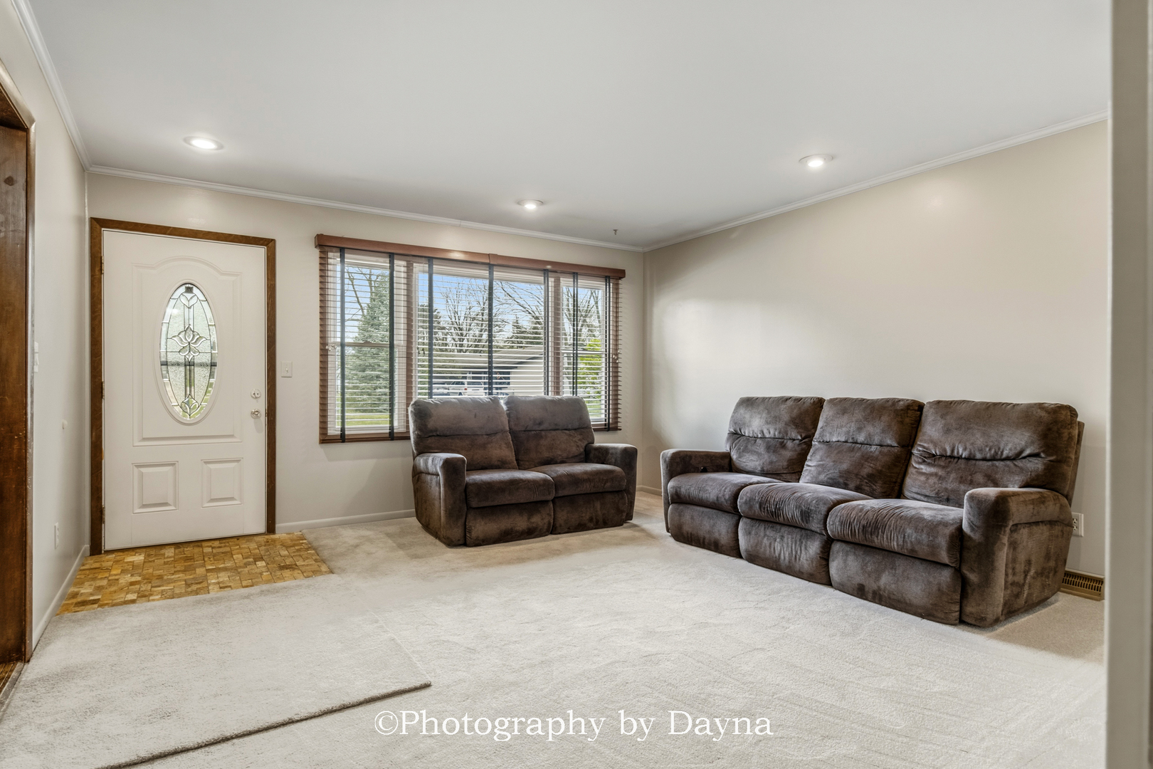 913 Southgate Road New Lenox, IL 60451 - Photo 4 of 35