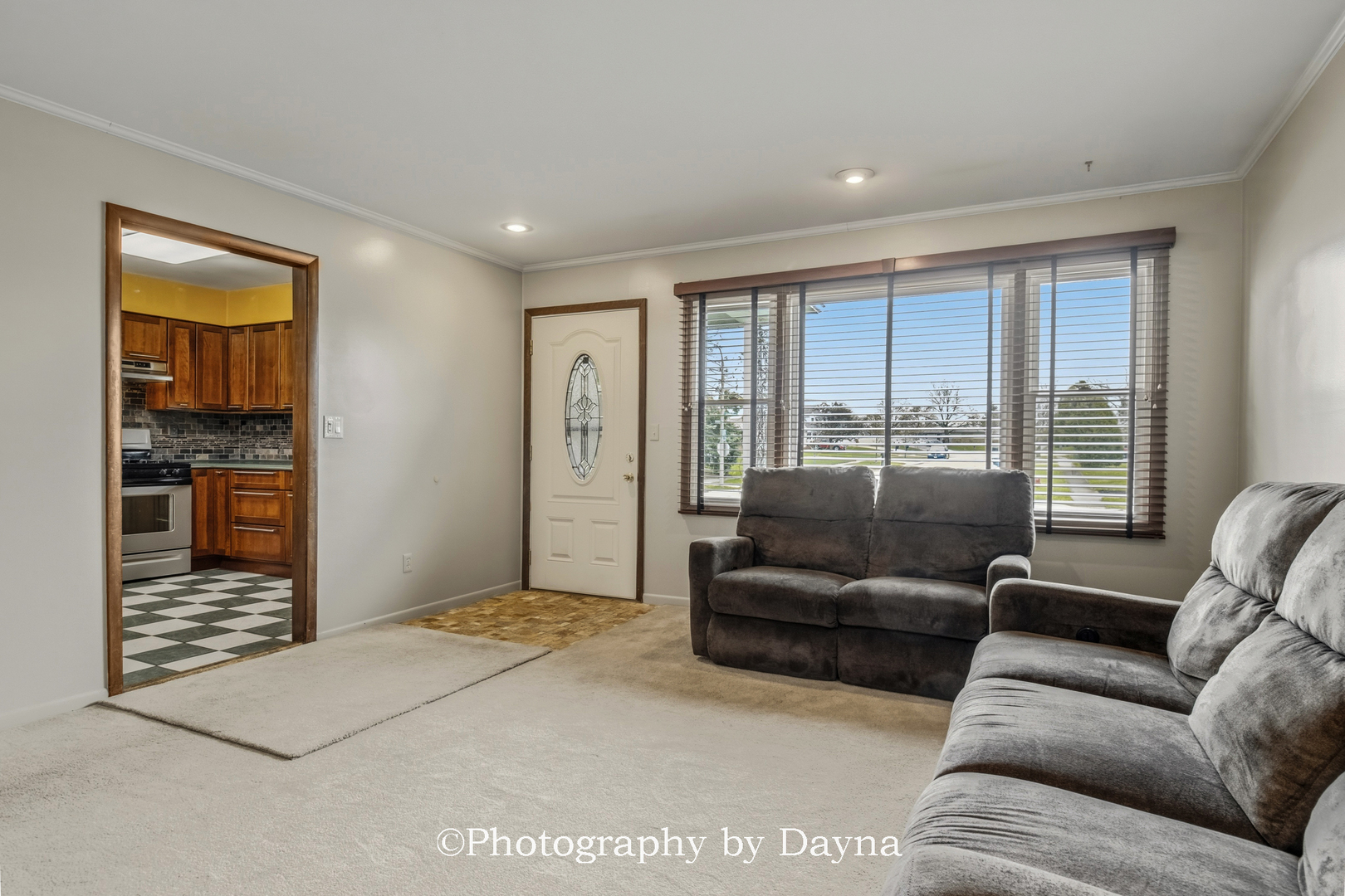 913 Southgate Road New Lenox, IL 60451 - Photo 5 of 35