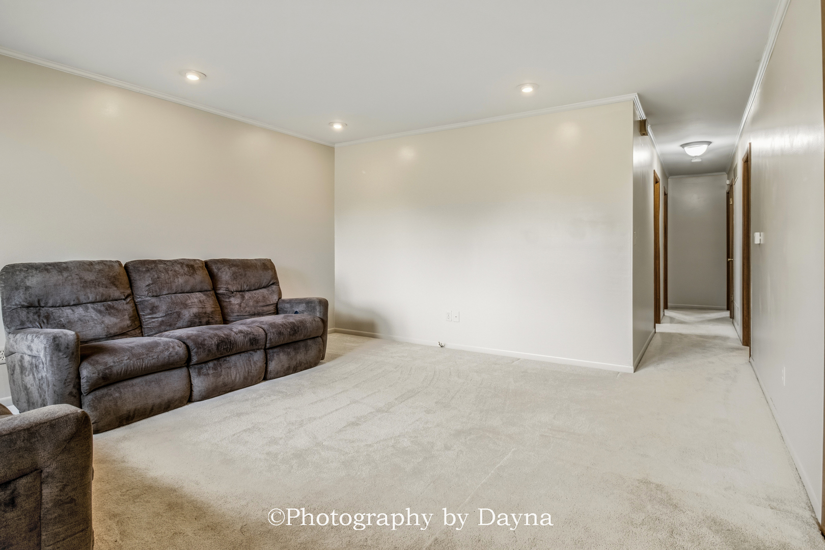 913 Southgate Road New Lenox, IL 60451 - Photo 6 of 35