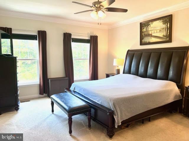 22276 Pinecroft Terrace Ashburn, VA 20148 - Photo 18 of 37