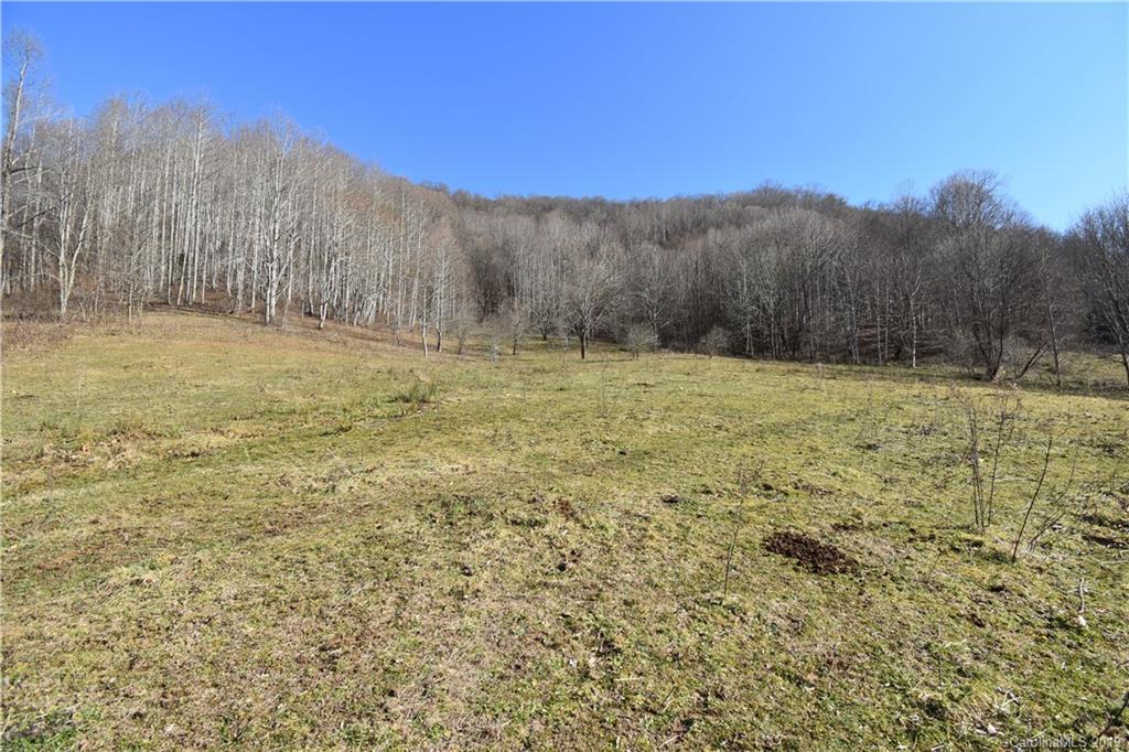 Tbd South Fork Road Marshall, NC 28753 - Photo 2 of 30 Gallery Image 2