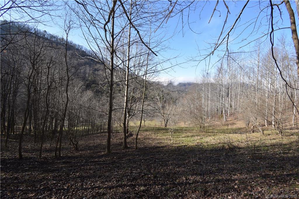 Tbd South Fork Road Marshall, NC 28753 - Photo 11 of 30 Gallery Image 11