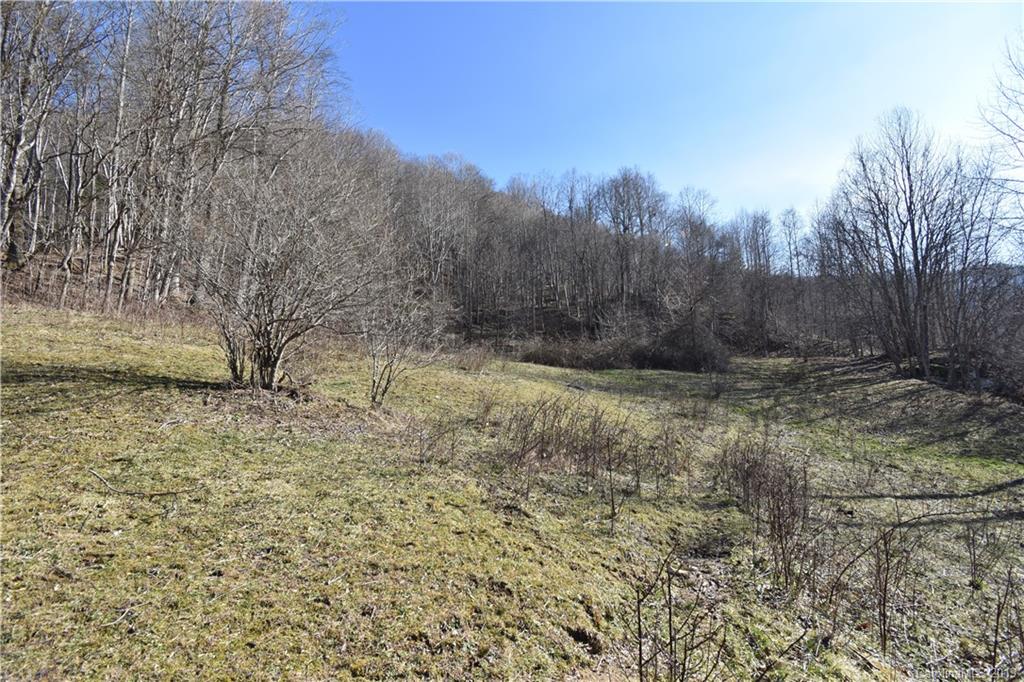 Tbd South Fork Road Marshall, NC 28753 - Photo 14 of 30 Gallery Image 14