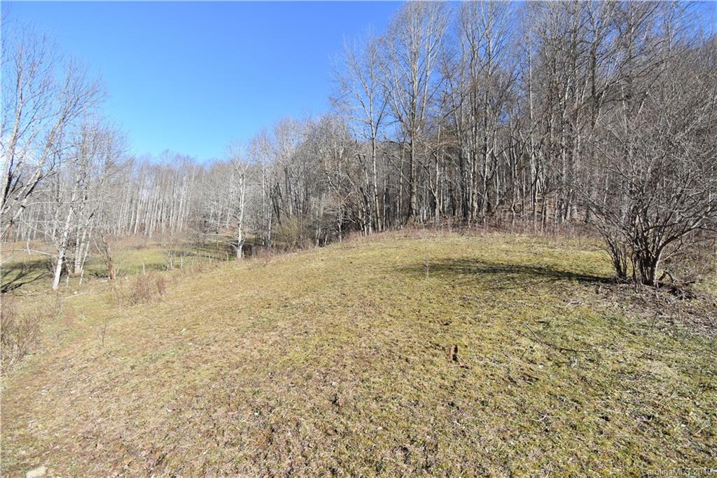 Tbd South Fork Road Marshall, NC 28753 - Photo 15 of 30 Gallery Image 15