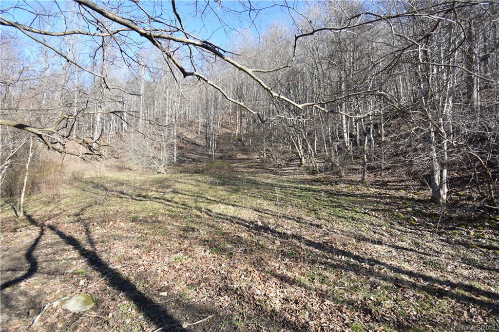 Tbd South Fork Road Marshall, NC 28753 - Photo 16 of 30 Gallery Image 16