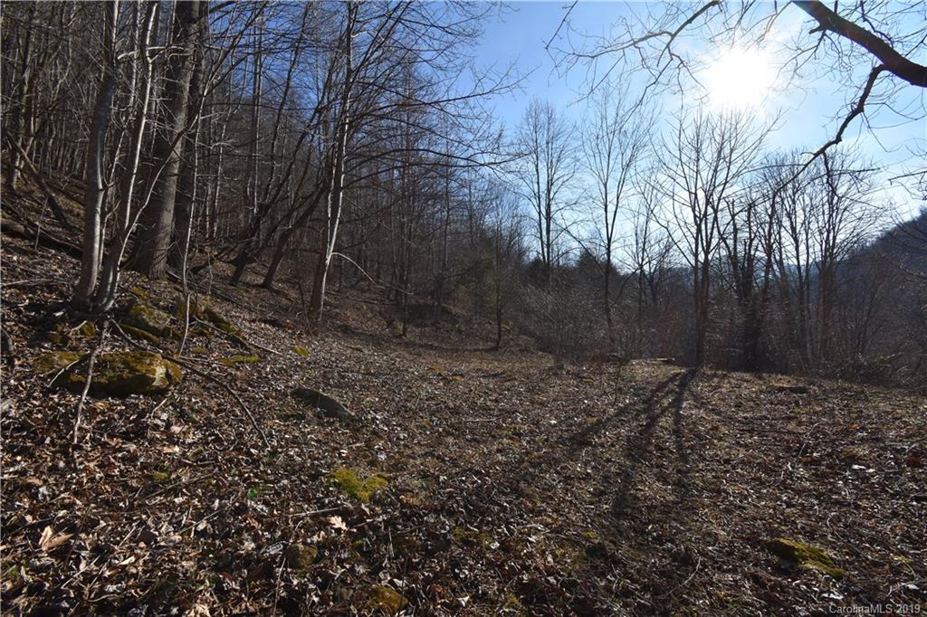 Tbd South Fork Road Marshall, NC 28753 - Photo 17 of 30 Gallery Image 17