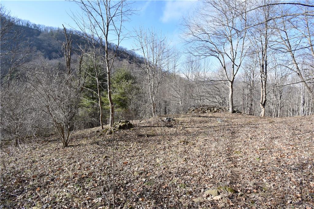 Tbd South Fork Road Marshall, NC 28753 - Photo 19 of 30 Gallery Image 19