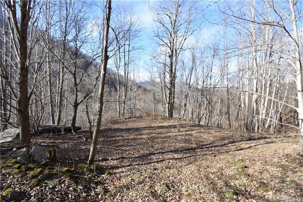 Tbd South Fork Road Marshall, NC 28753 - Photo 20 of 30 Gallery Image 20