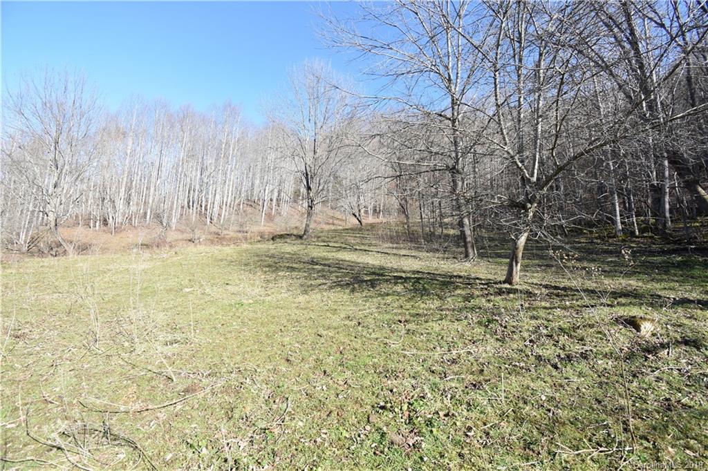 Tbd South Fork Road Marshall, NC 28753 - Photo 3 of 30 Gallery Image 3