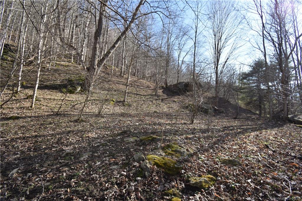 Tbd South Fork Road Marshall, NC 28753 - Photo 21 of 30 Gallery Image 21