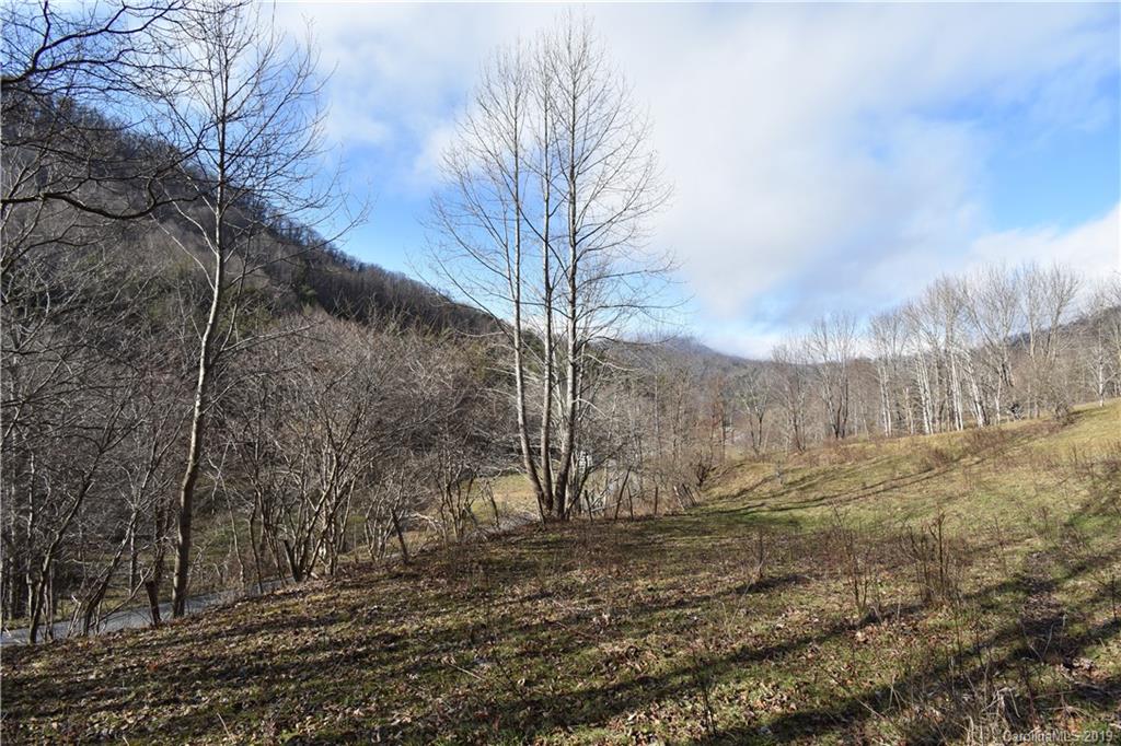 Tbd South Fork Road Marshall, NC 28753 - Photo 22 of 30 Gallery Image 22