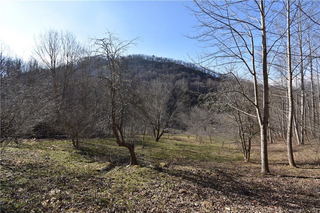 Tbd South Fork Road Marshall, NC 28753 - Photo 6 of 30 Gallery Image 6