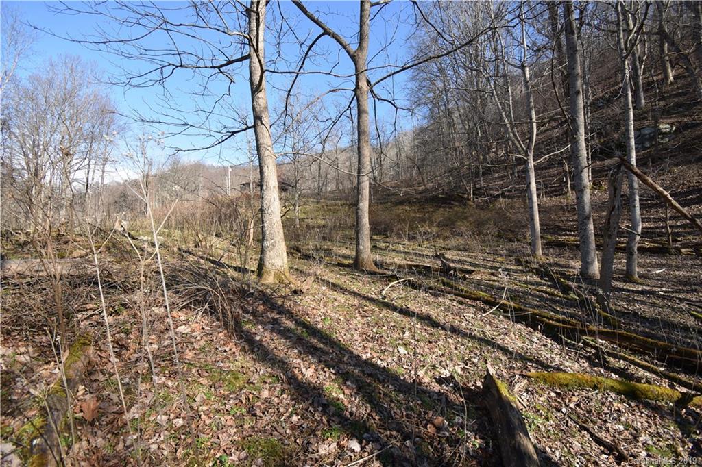 Tbd South Fork Road Marshall, NC 28753 - Photo 10 of 30 Gallery Image 10