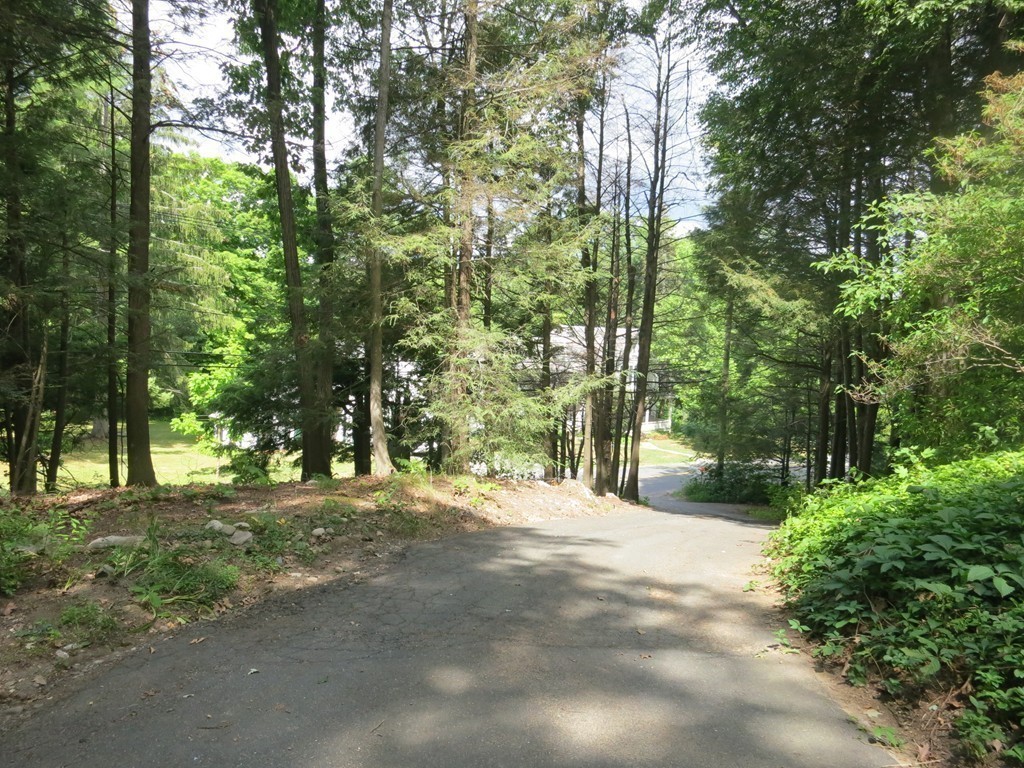 4 Harkness Road Pelham, MA 01002 - Photo 26 of 29 a view of road and trees