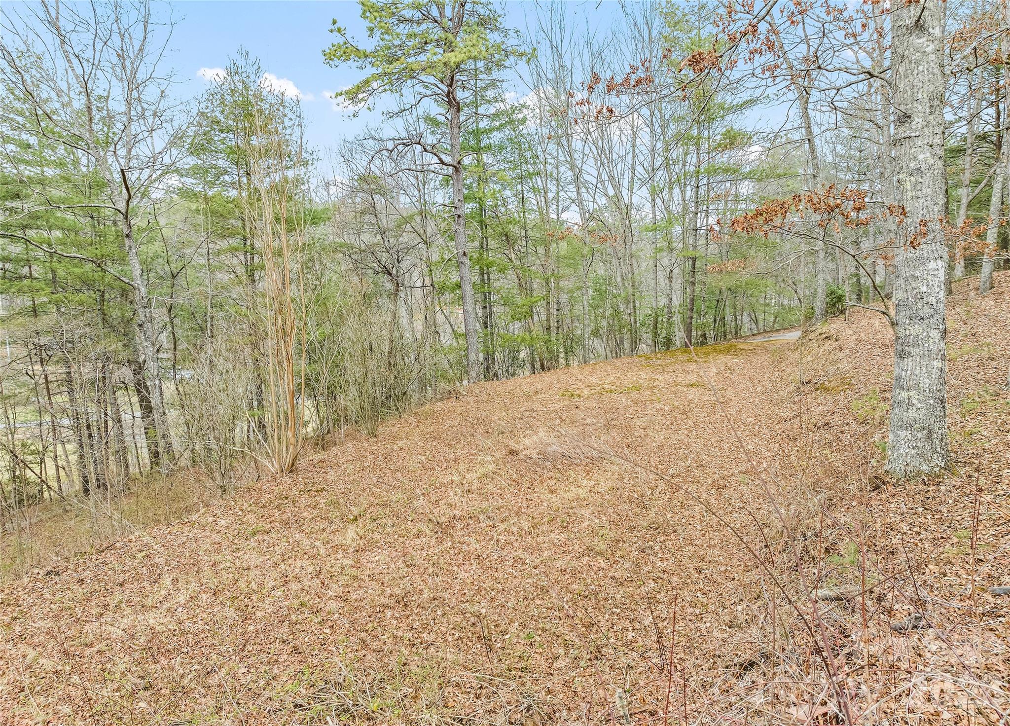171 Fortner Road Bryson City, NC 28713 - Photo 29 of 32 a view of a yard with trees in front of it
