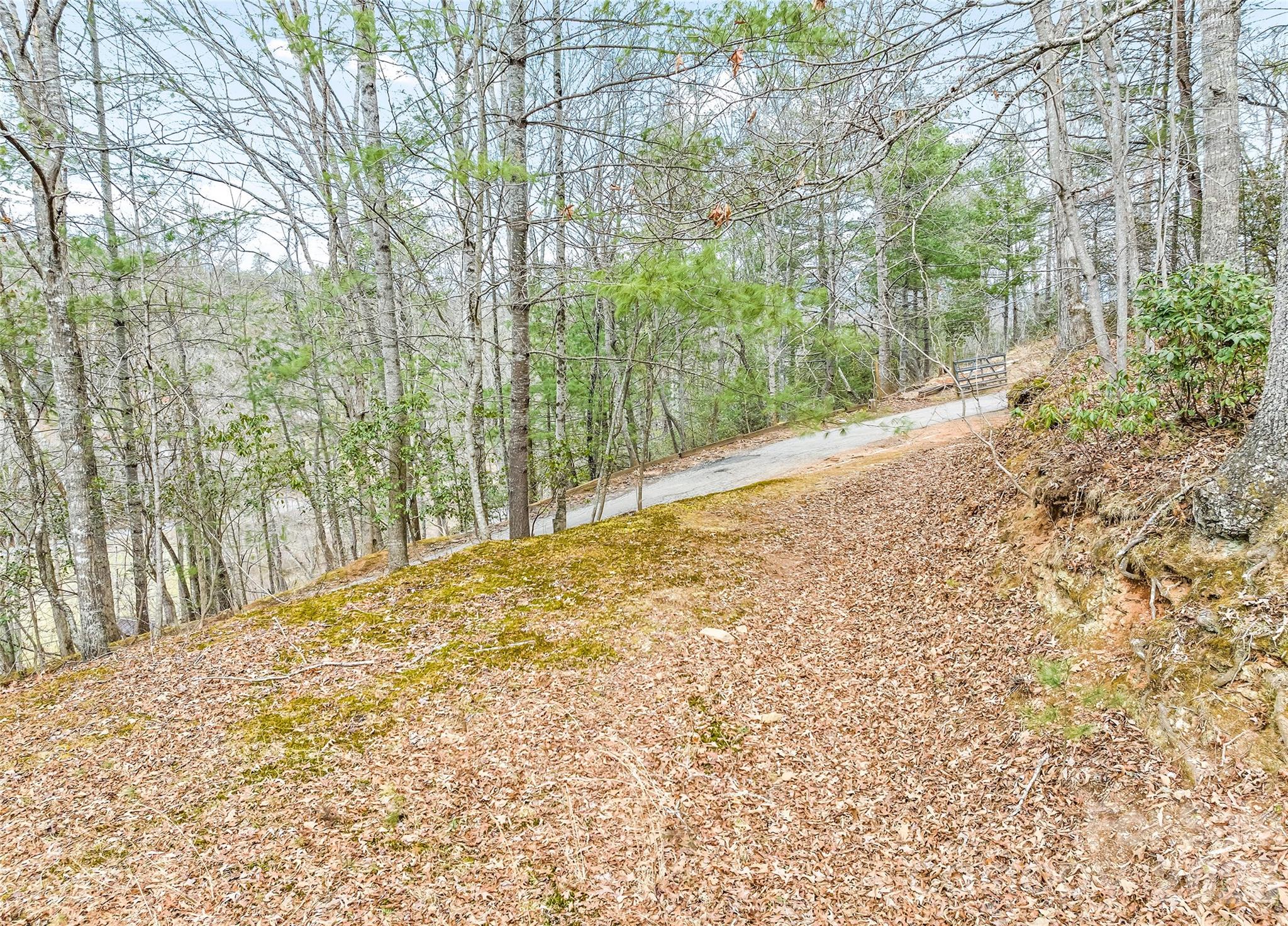 171 Fortner Road Bryson City, NC 28713 - Photo 31 of 32 a view of a yard with large trees