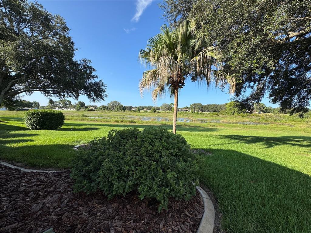 4755 Tara View Road Leesburg, FL 34748 - Photo 23 of 100