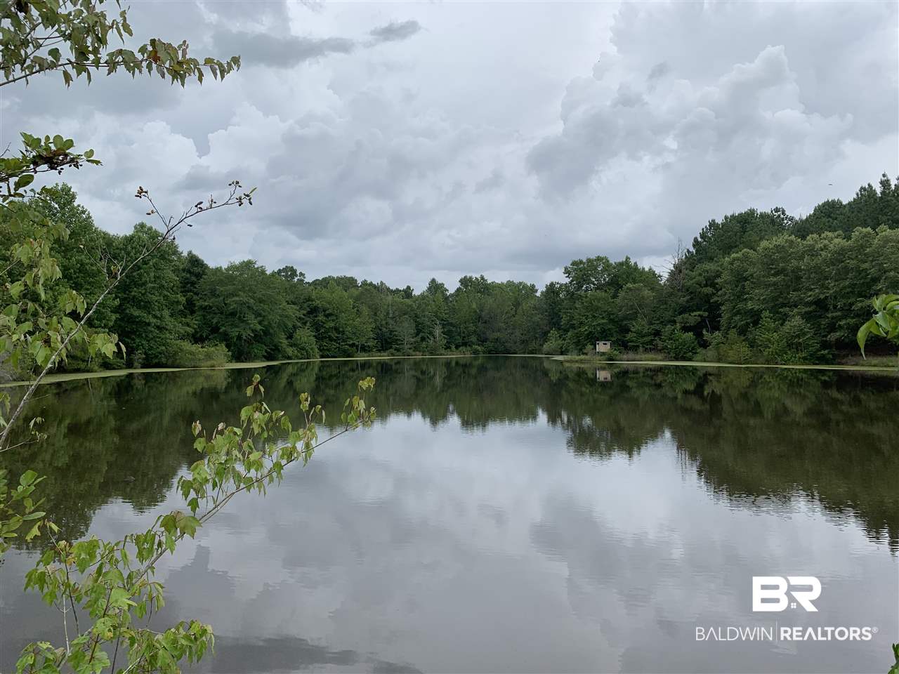 1178 Dry Lake Road Luverne, AL 36049 - Photo 1 of 50