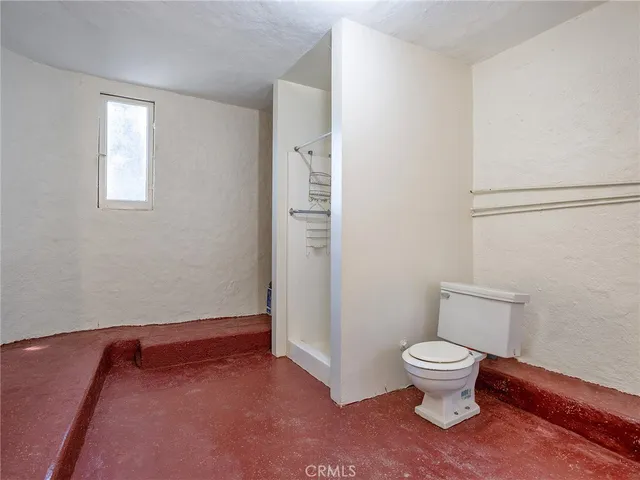 a bathroom with a toilet and a potted plant