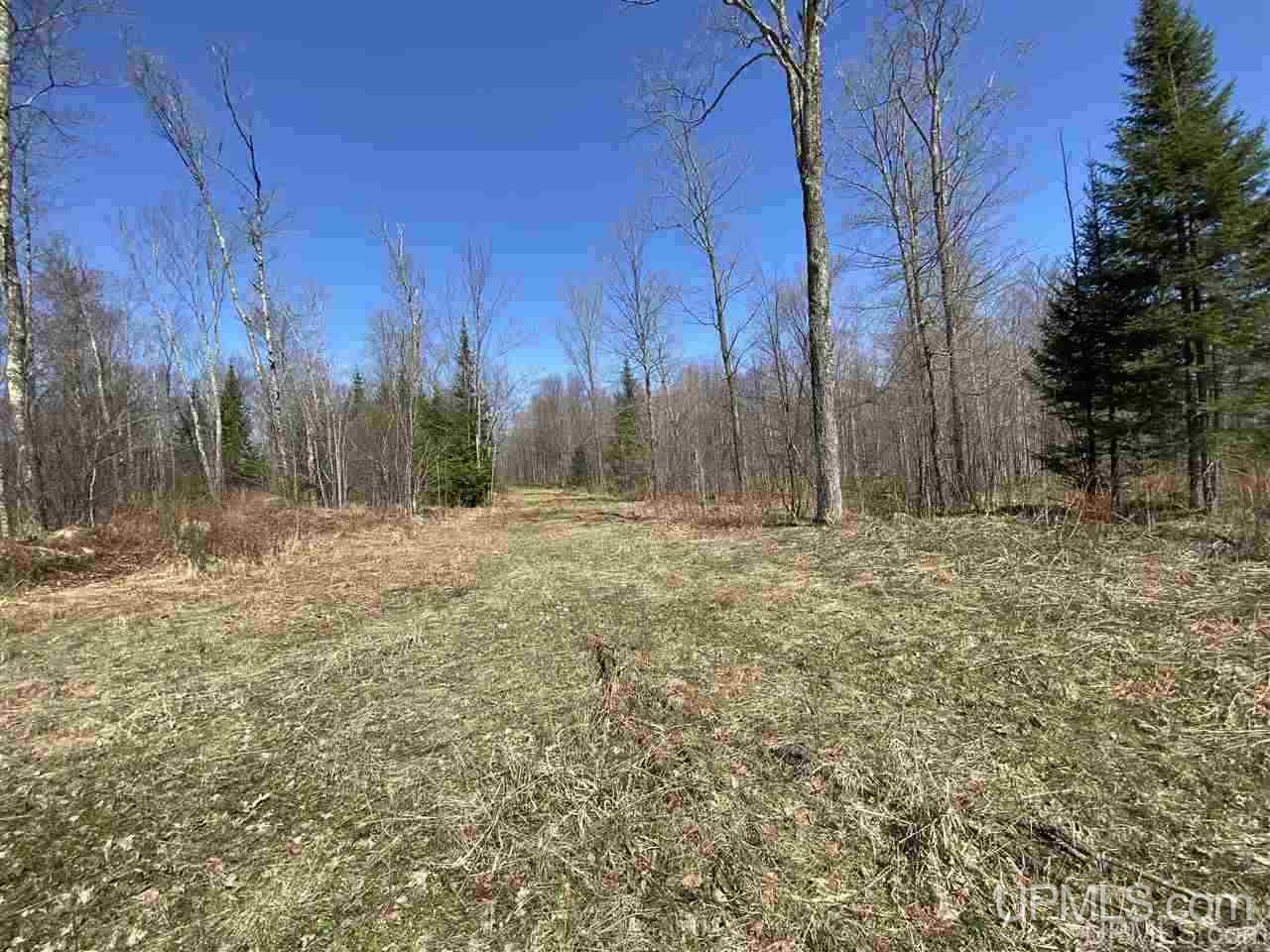 Off Nelson Road Glidden, WI 54527 - Photo 13 of 23