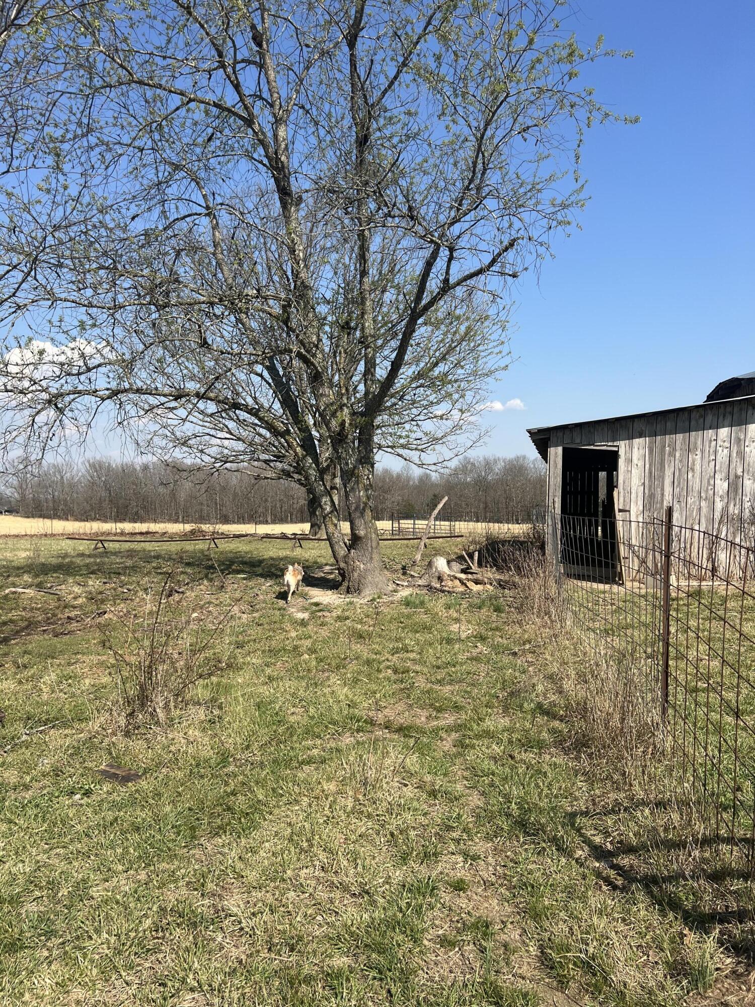 22177 Midvale Road Summersville, MO 65571 - Photo 54 of 82 IMG_5219 - Copy - Copy - Copy