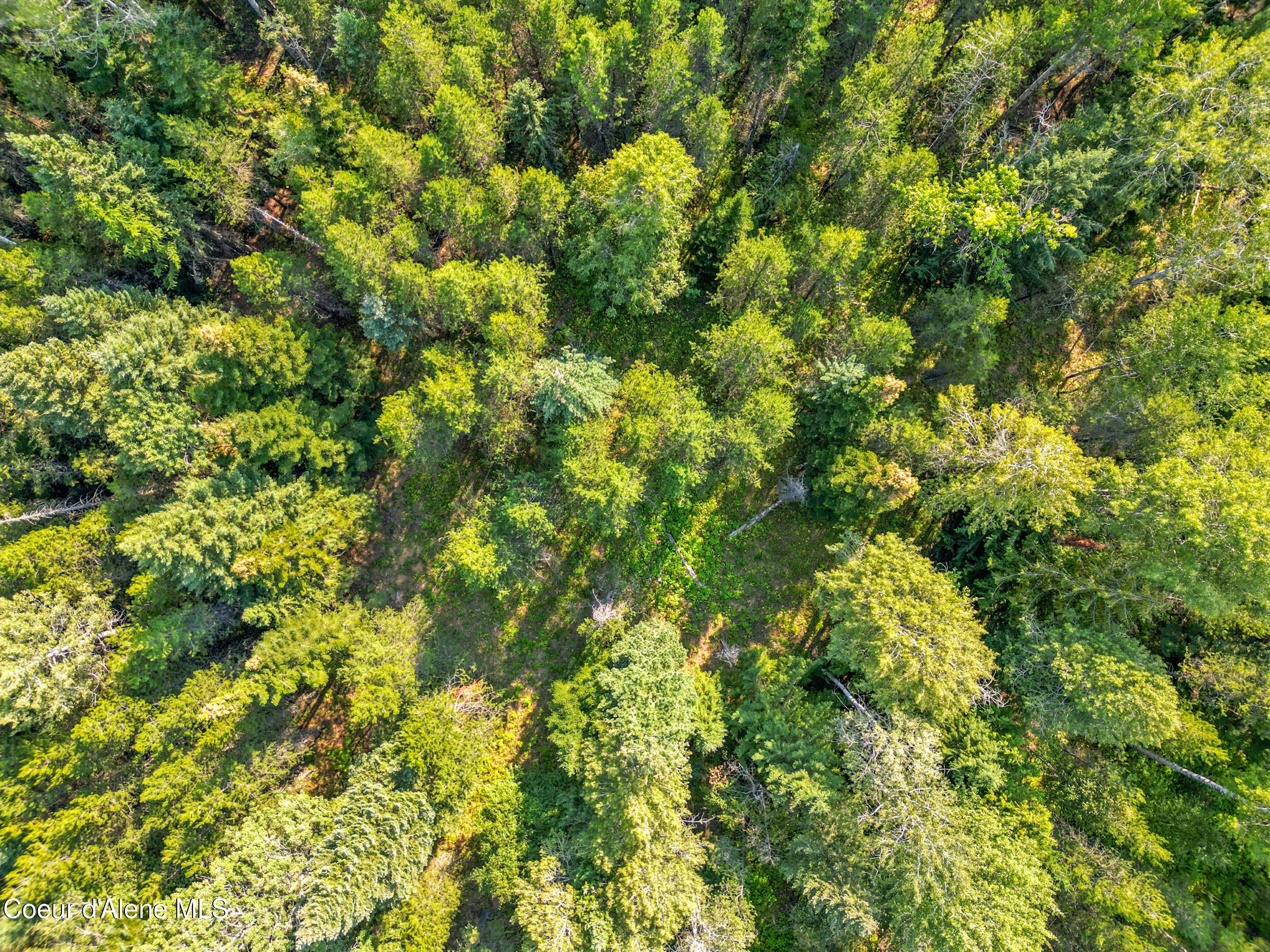 125 Ranch Road Naples, ID 83847 - Photo 12 of 23 13_dji_0132