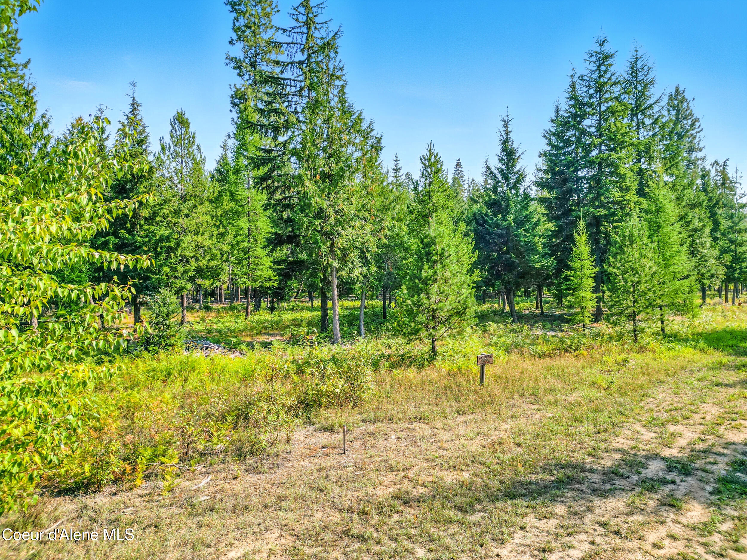 125 Ranch Road Naples, ID 83847 - Photo 17 of 23 19_dji_0139