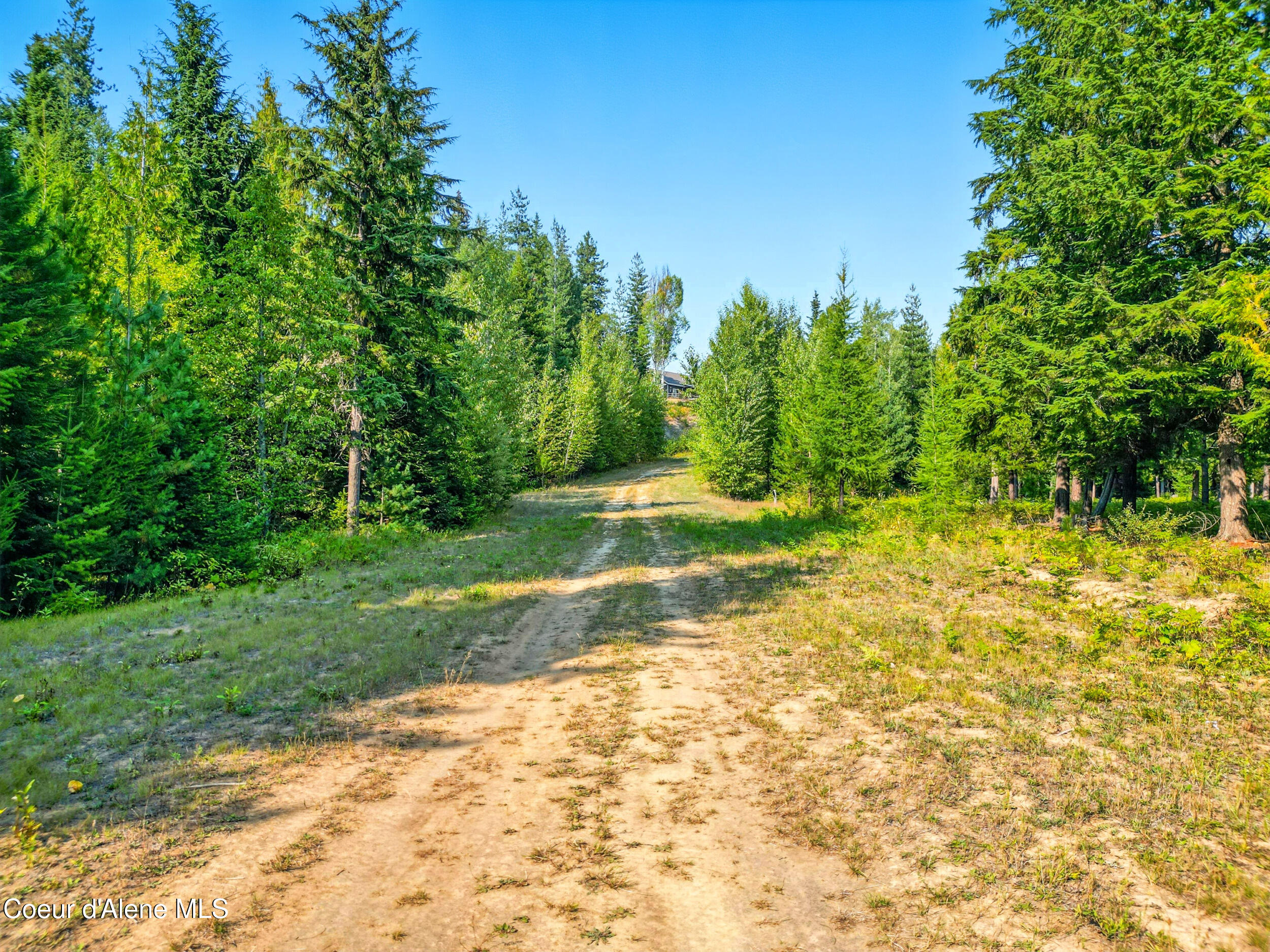 125 Ranch Road Naples, ID 83847 - Photo 19 of 23 21_dji_0141