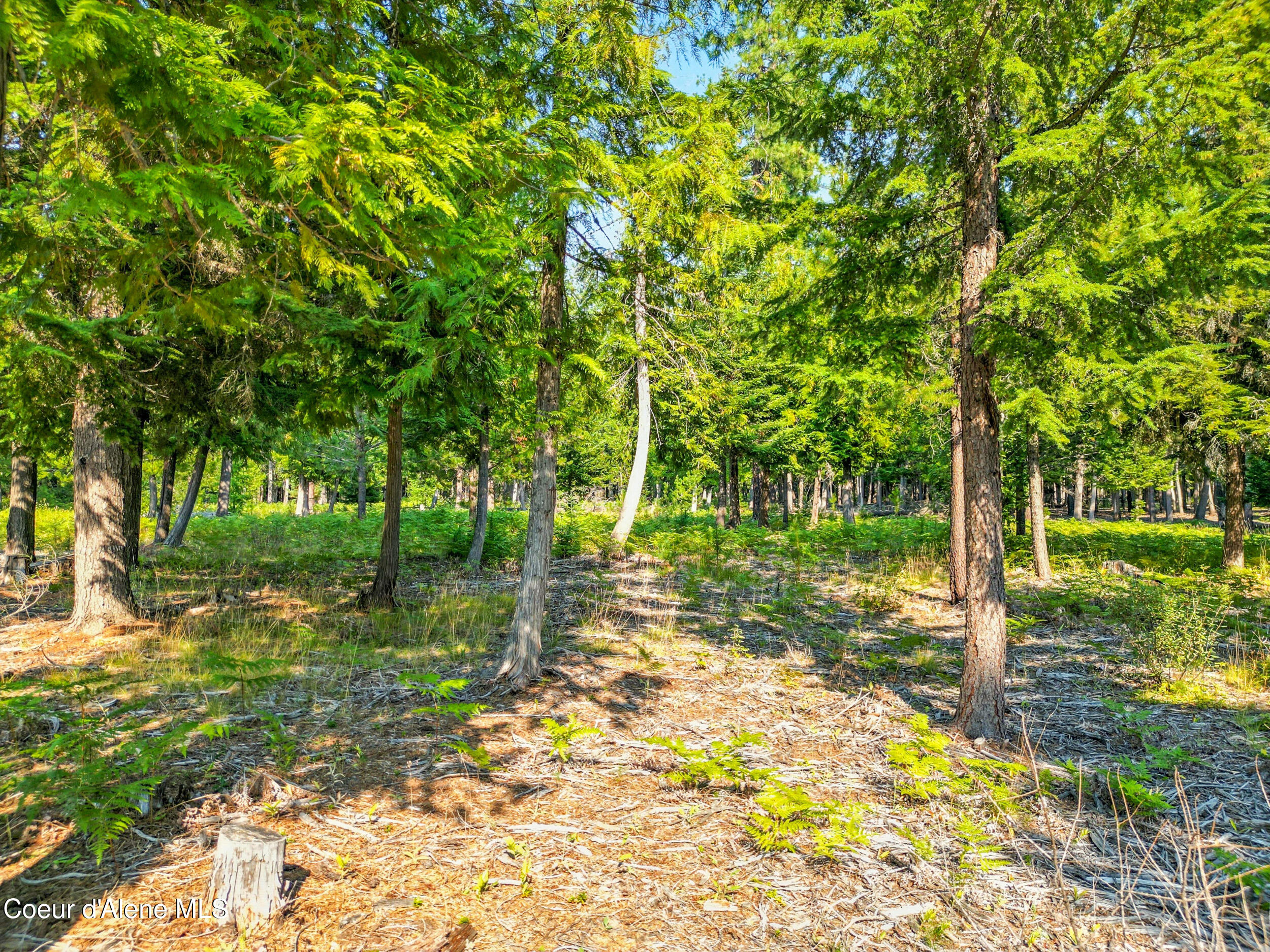 125 Ranch Road Naples, ID 83847 - Photo 20 of 23 22_dji_0142