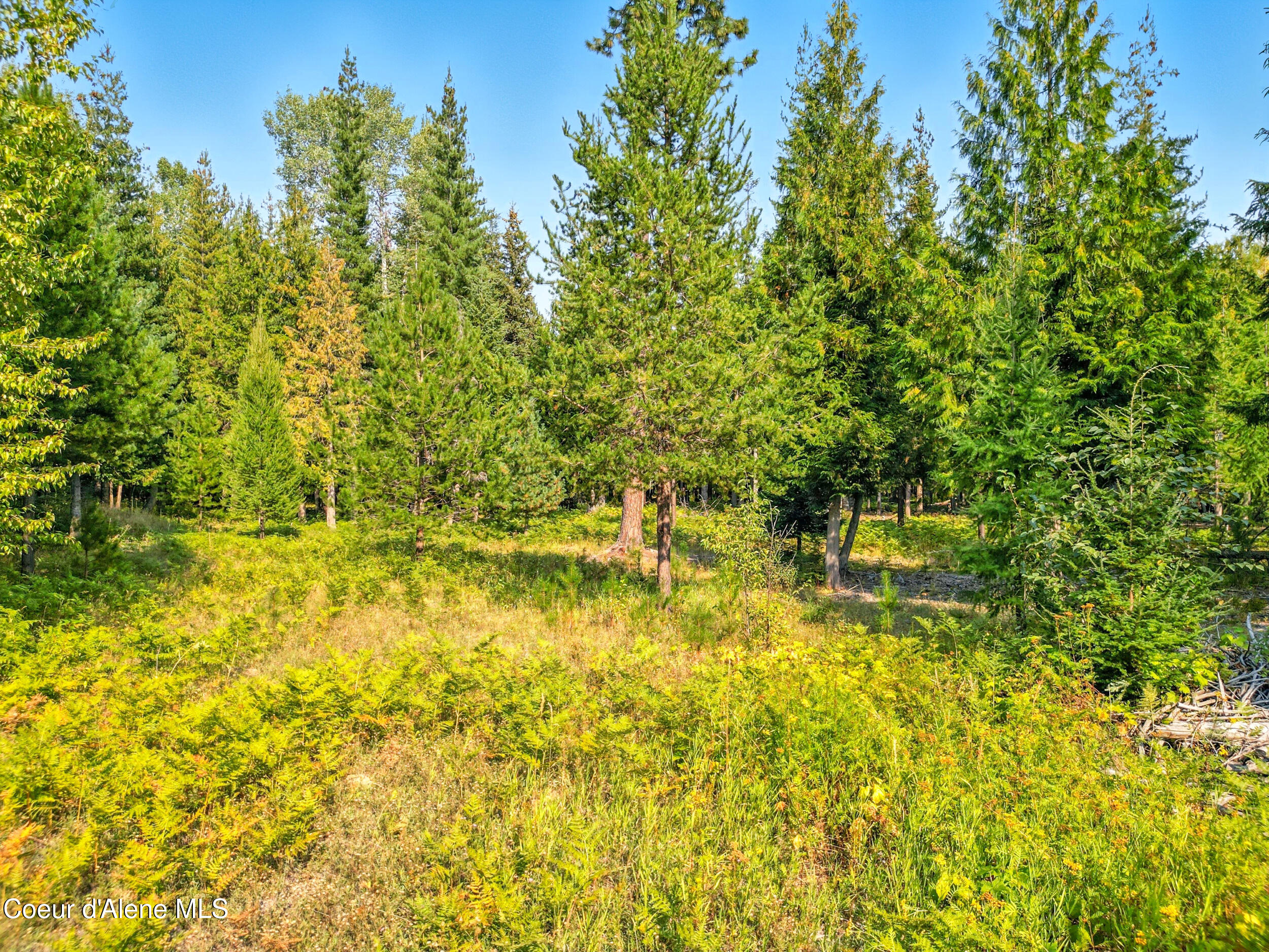 125 Ranch Road Naples, ID 83847 - Photo 21 of 23 23_dji_0143