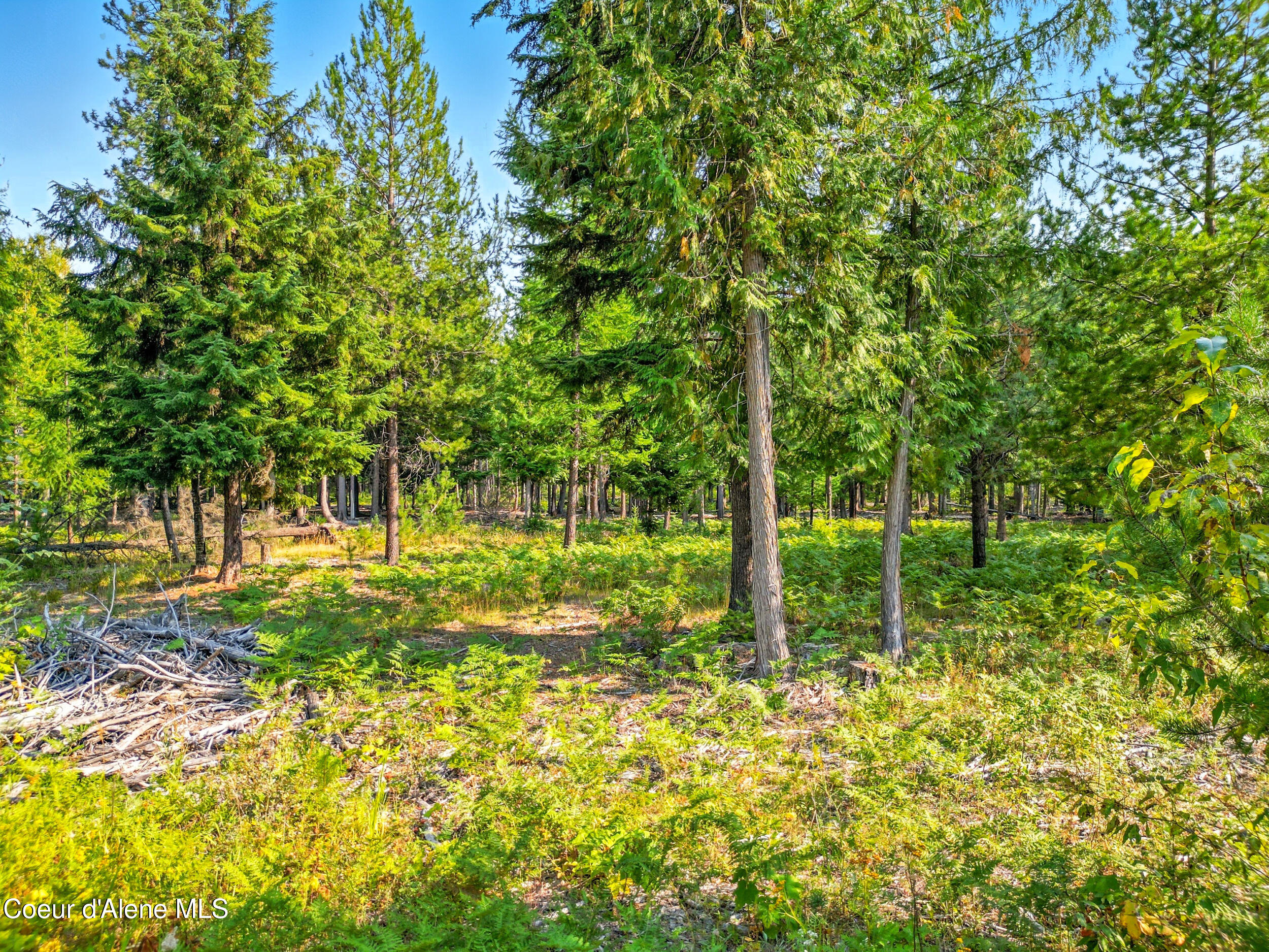 125 Ranch Road Naples, ID 83847 - Photo 22 of 23 24_dji_0144