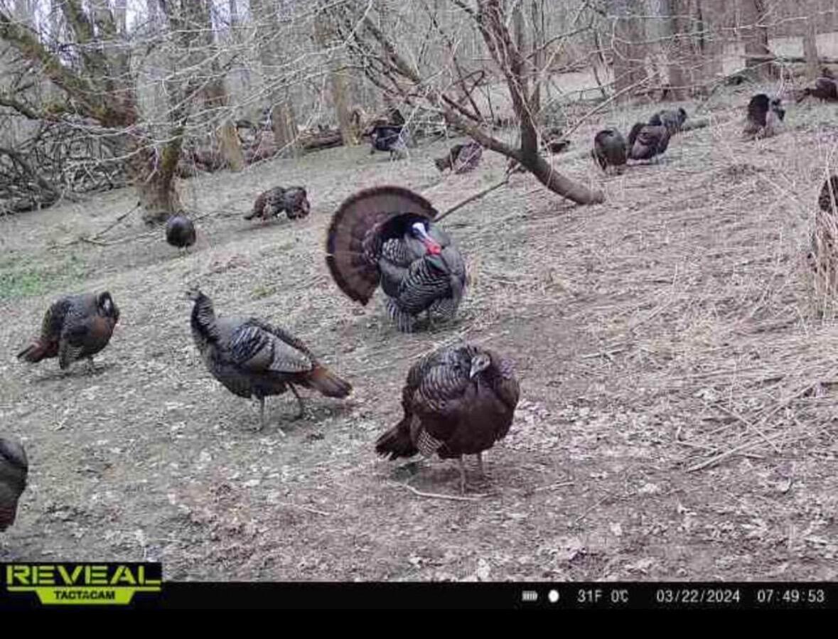 1 Dry Lane Road South La Rue, OH 43332 - Photo 9 of 9 IMG_6054