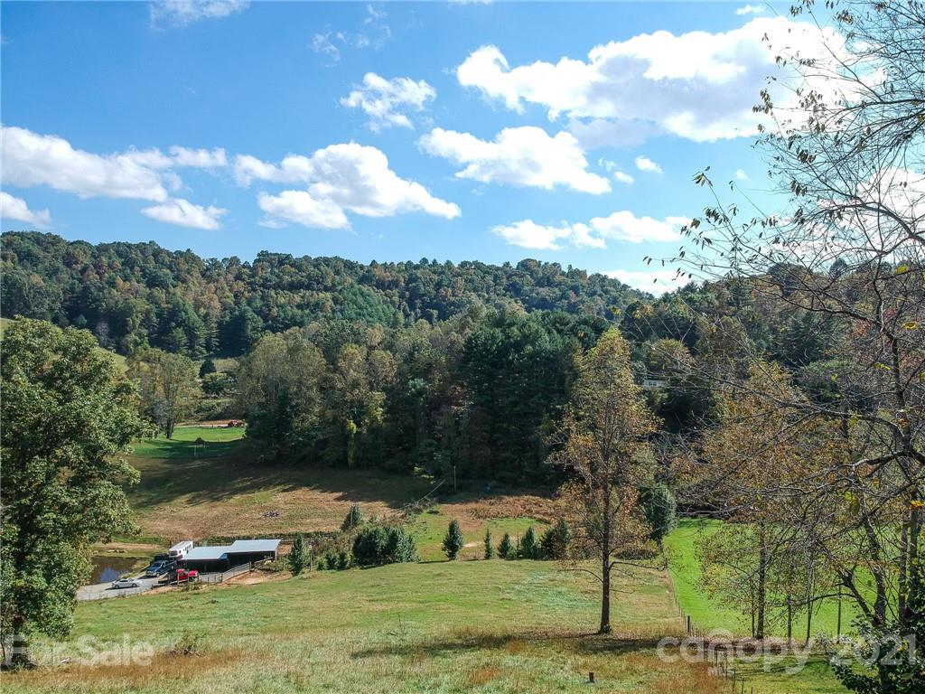 100 Meadows Town Road Leicester, NC 28748 - Photo 40 of 46 Gallery Image 40