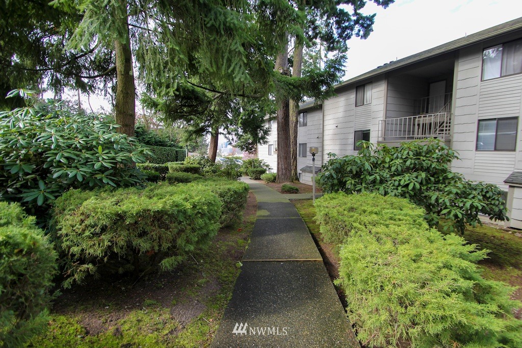 12107 Bel-Red Road, Unit D103 Bellevue, WA 98005 - Photo 2 of 11