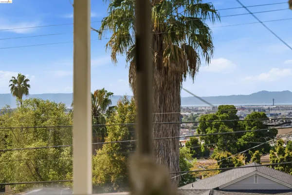 a view of a palm plant from a window