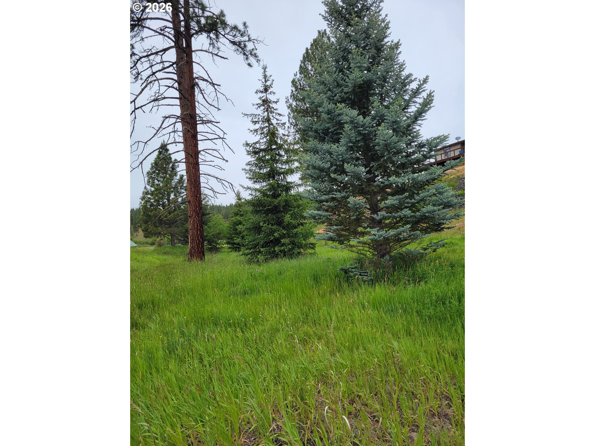 0 Coombs Loop La Grande, OR 97850 - Photo 12 of 14