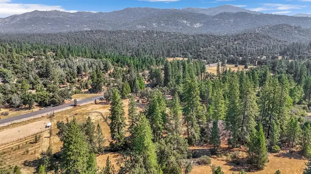 a view of a city with lush green forest