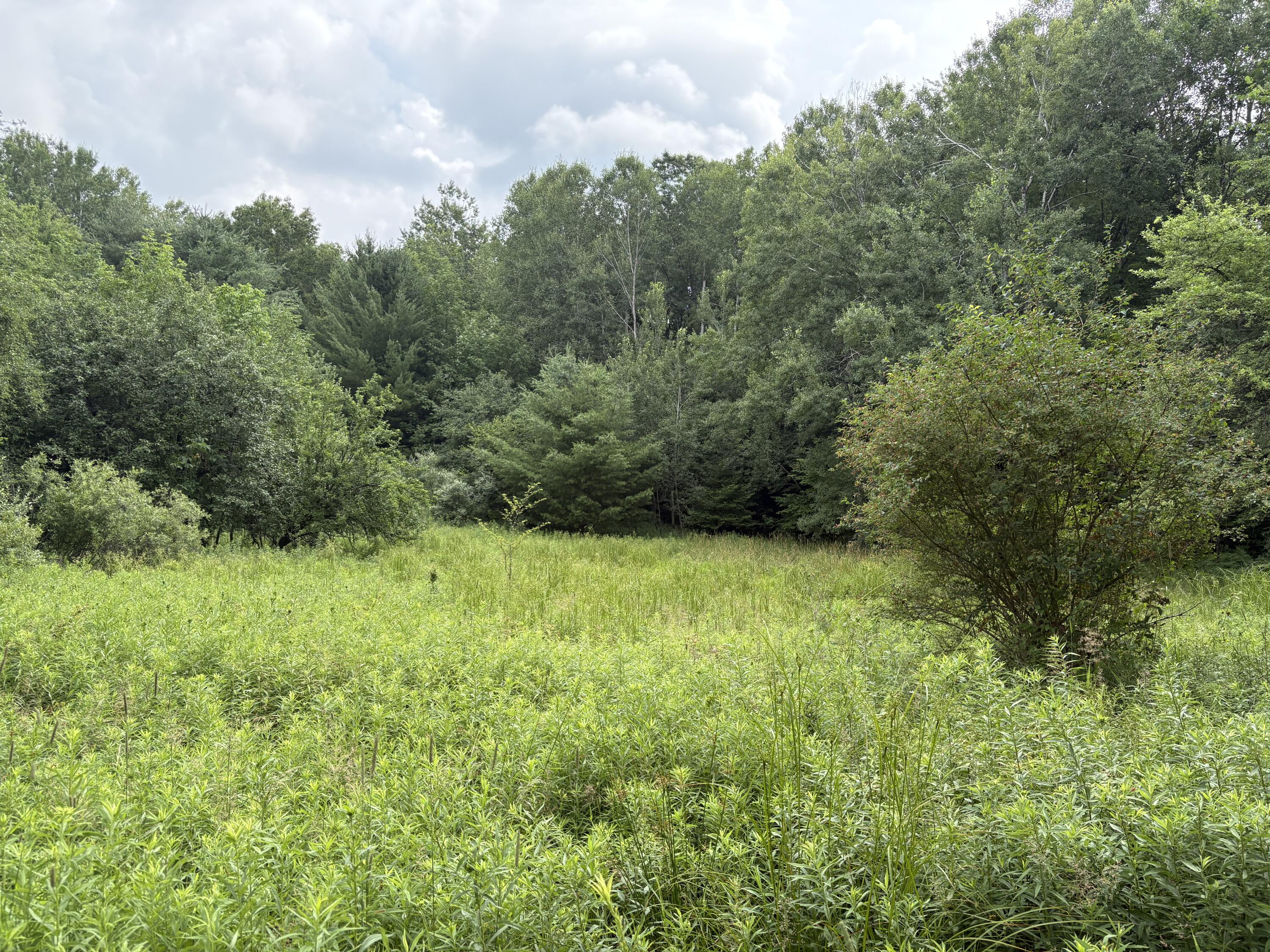 11546 East 3 1/2 Mile Road Luther, MI 49656 - Photo 1 of 7 property