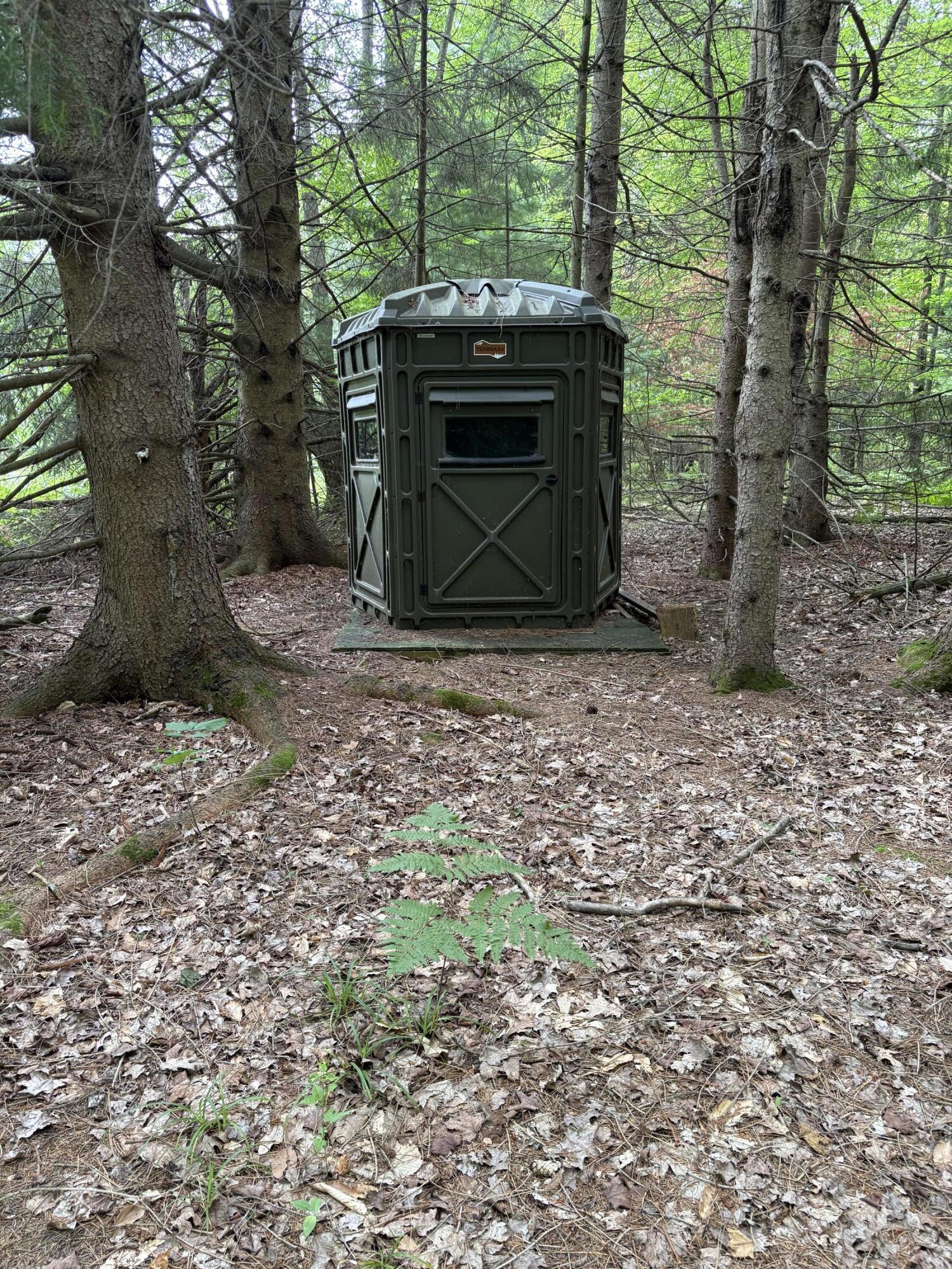 11546 East 3 1/2 Mile Road Luther, MI 49656 - Photo 4 of 7 IMG_5290