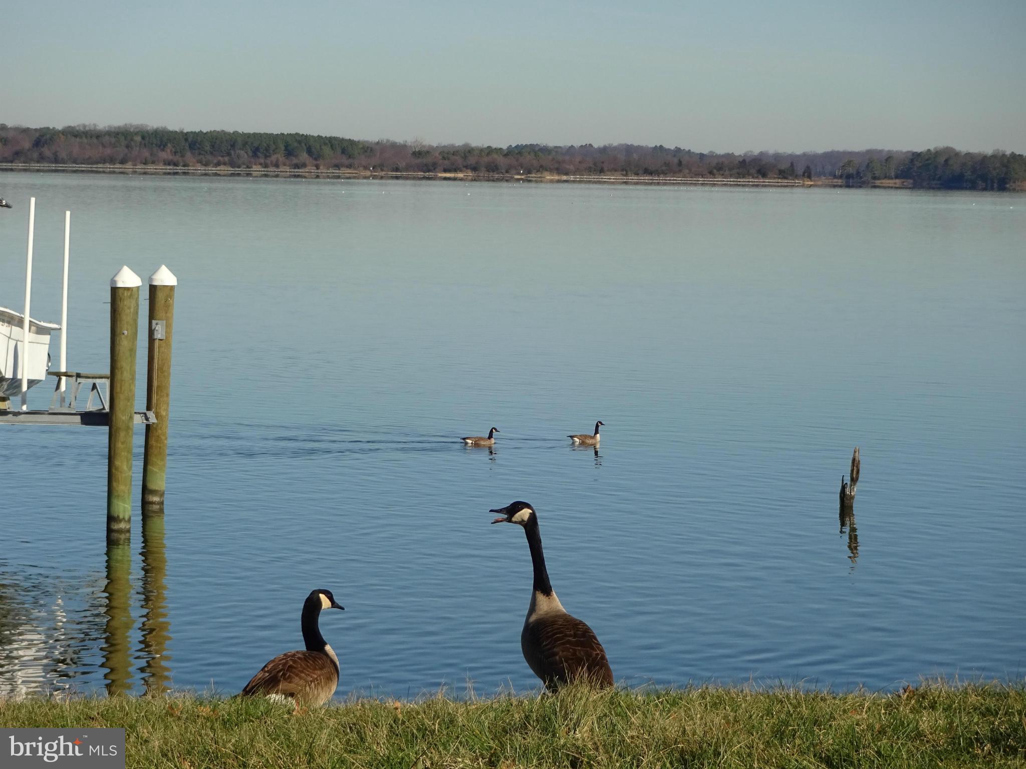 210 Rambler Road Cambridge, MD 21613 - Photo 25 of 30 Community