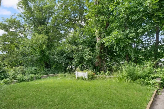 a view of green field