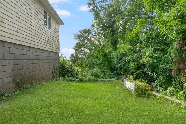 a view of a backyard with plants and large tree