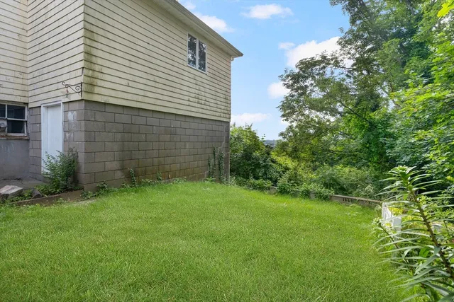 a view of a yard with plants and a large tree